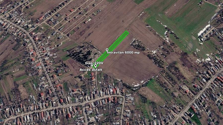 Teren Construcții intravilan de 6000 mp, în Săbăreni