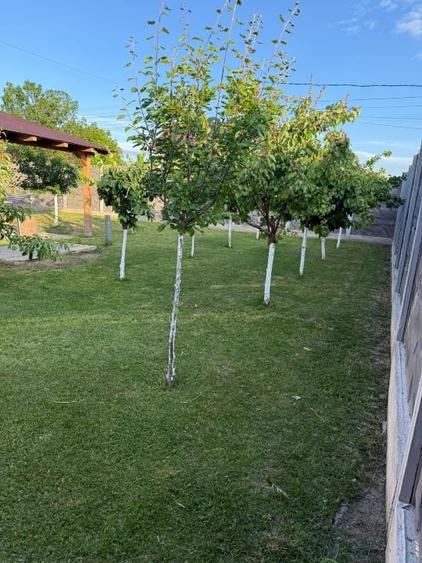 Casă individuală cu 3 camere cu Canalizare în Central