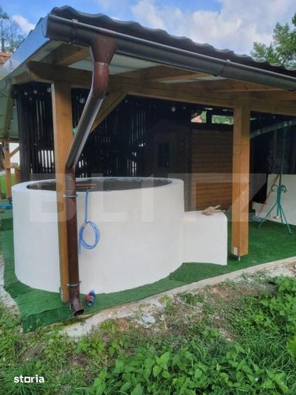 Casă cu 5 camere cu Teren 48000 Mp în Vărădia de Mureș