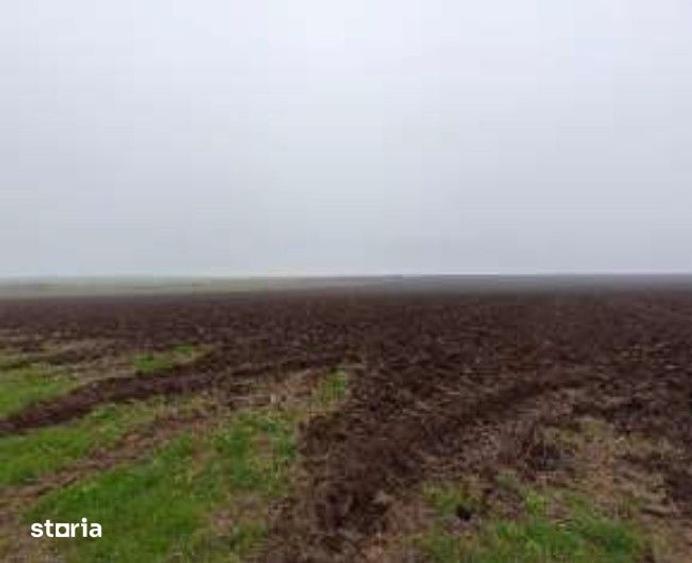 Teren de 15000 mp, în Limanu