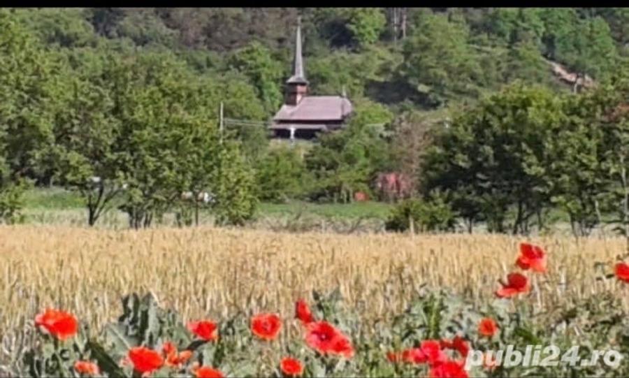 Teren de 5000 mp, în Racâș