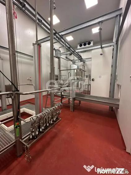 Black Angus Farm with authorized Slaughterhouse - 12