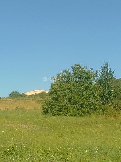 Teren Construcții intravilan de 3000 mp, în Sopor