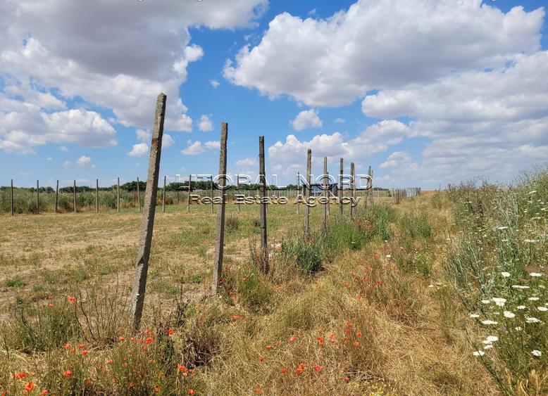 Teren Construcții intravilan de 423 mp, în Techirghiol