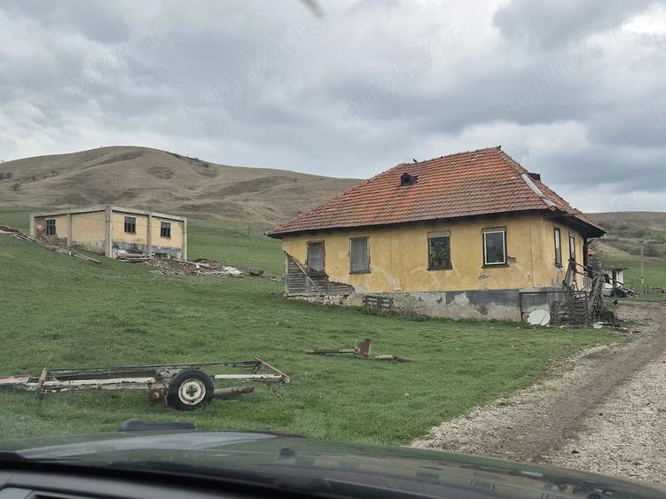 Teren în Petrești