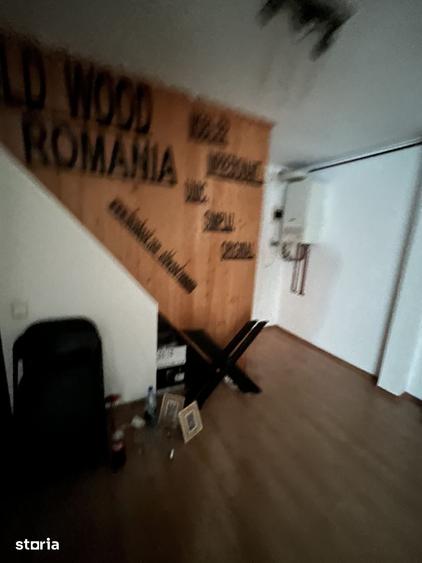 Casă cu 4 camere cu Teren 2600 Mp în Snagov