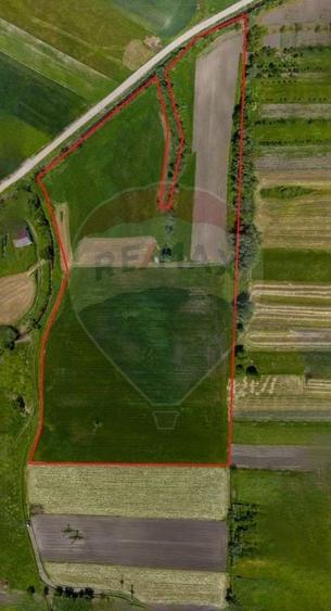 Teren agricol extravilan de 25100 mp, în Prejmer