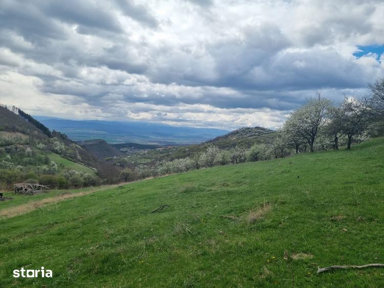 Teren de 7000 mp, în Cetate