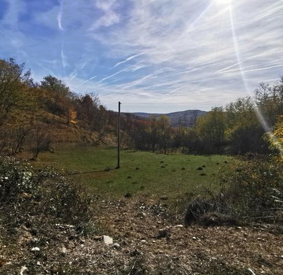 Teren 2500 mp Predeal Sarari, Vitioara de Sus  - 2