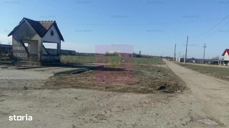 Teren de 15750 mp, în Balotești