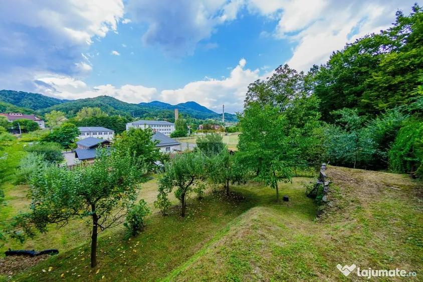 CASA cu TEREN generos , in linistea naturii - Baia Mare (Maramures) - 13