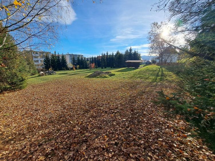 Teren de 3992 mp, în Toplița