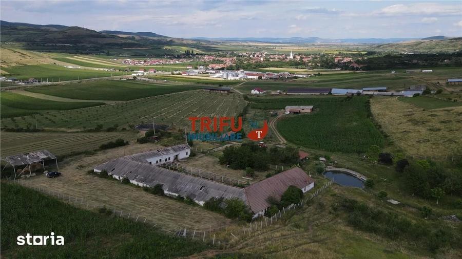 Spațiu comercial, de 1,190 mp, în Alba