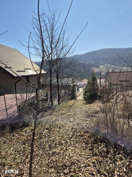 Teren extravilan Luncani-Bacau - 1