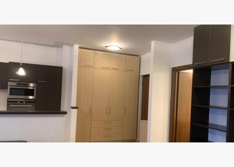 Apartament cu 2 camere semidecomandat, mobilat în Băneasa — fotografia 3