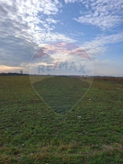 Teren agricol intravilan de 5700 mp, în Sântion