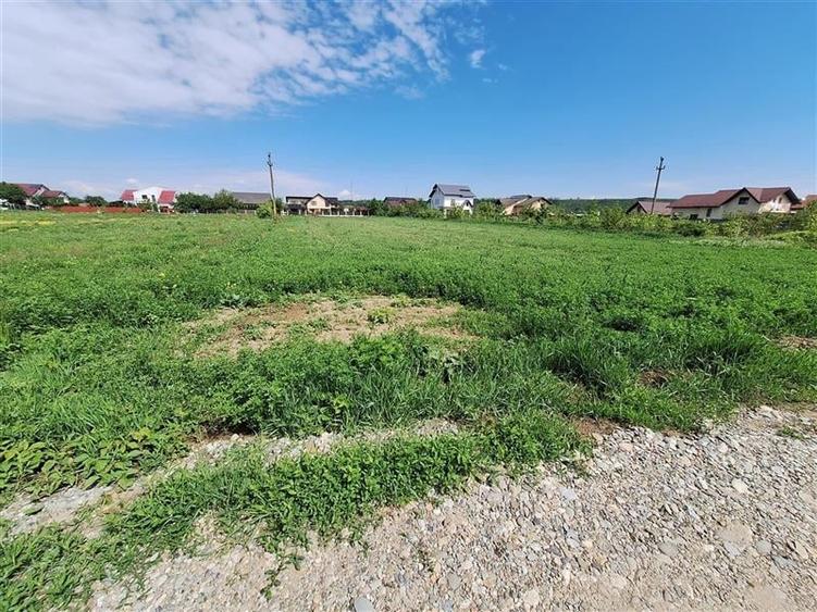 Teren Construcții intravilan de 3177 mp, în Șerbănești