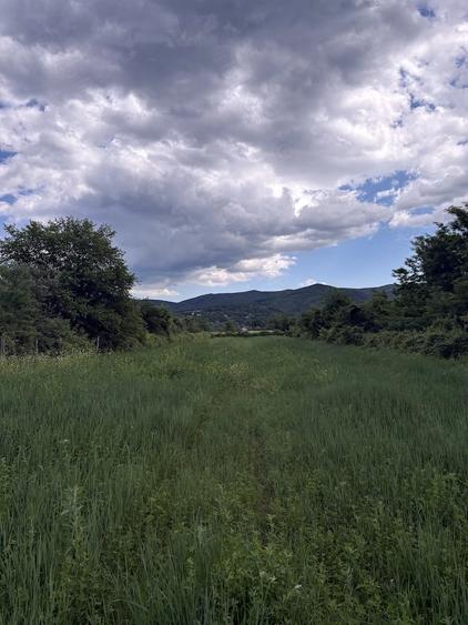 Teren de 5000 mp, în Pârscov