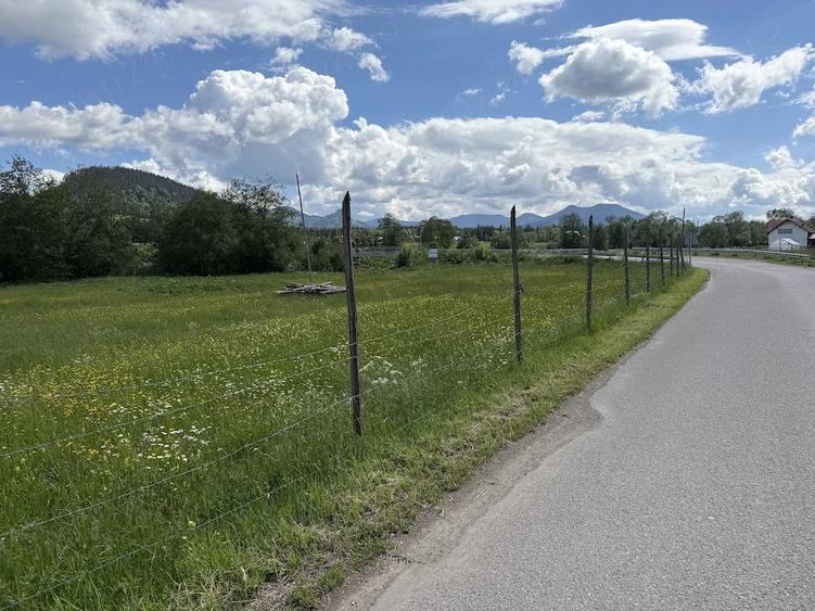 Teren de 8468 mp, în Poiana Negrii