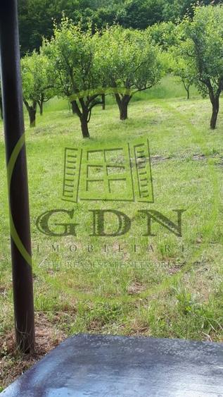 Teren agricol extravilan de 4288 mp, în Gușterița