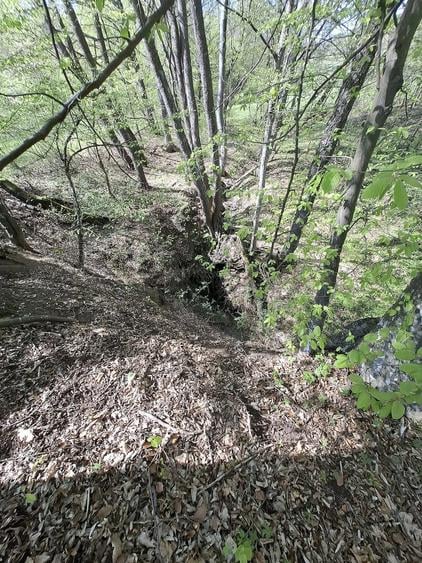 Teren de 5000 mp, în Valea Danului