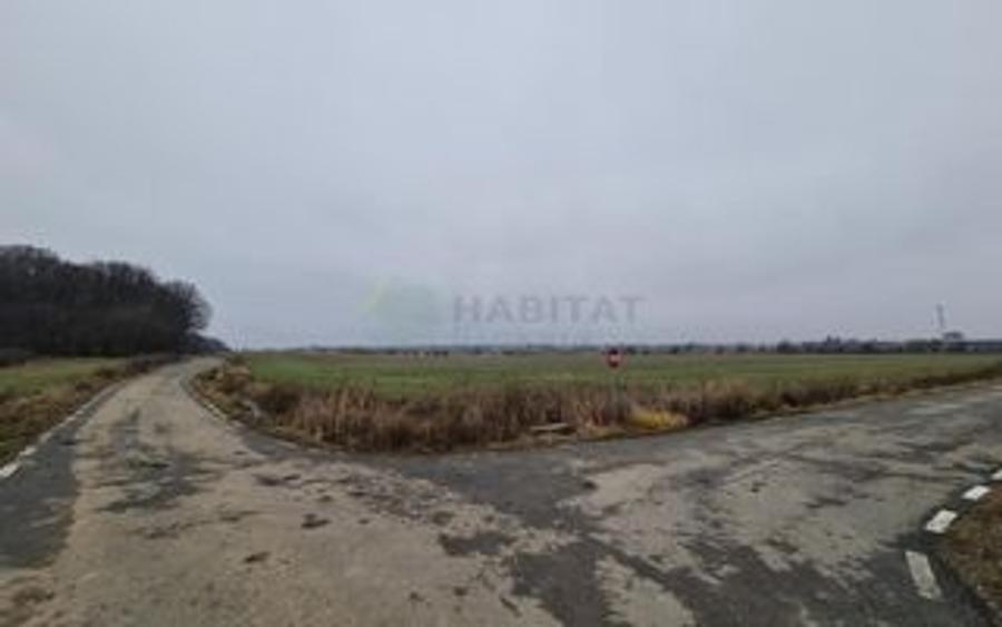 Teren agricol extravilan de 30700 mp, în Ciolpani