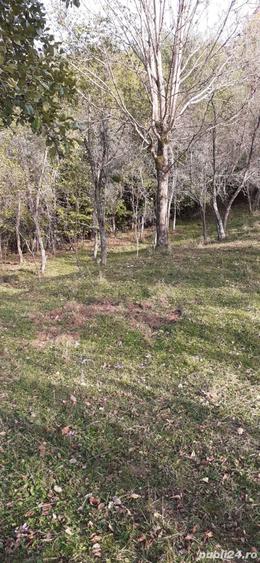 Teren de 5900 mp, în Vălișoara