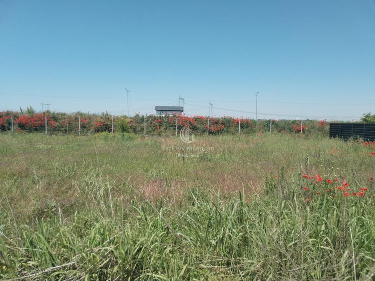 Teren Construcții intravilan de 250 mp, în Berceni