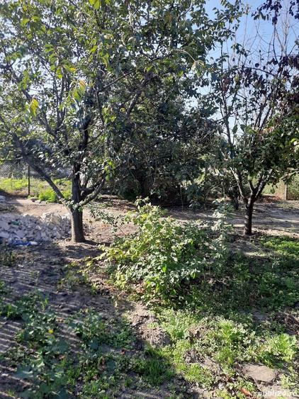 Casă cu 3 camere în Dumbrăveni