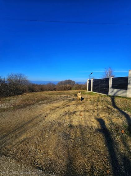 Teren Construcții intravilan de 2000 mp, în Seciu