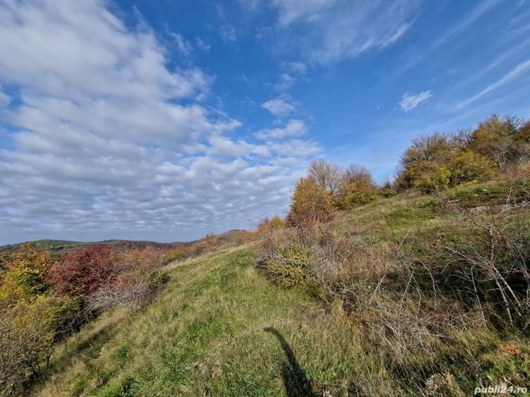 Teren de 18527 mp, în Cerbăl