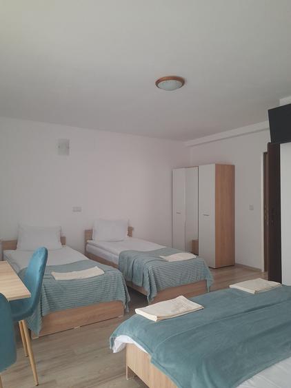 Casă cu 4 camere cu Teren 5000 Mp în Arpașu de Sus