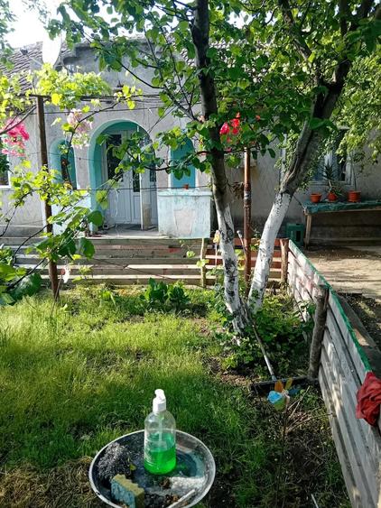 Casă cu Teren 2000 Mp în Mereni