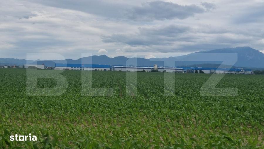 Teren de 12000 mp, în Central