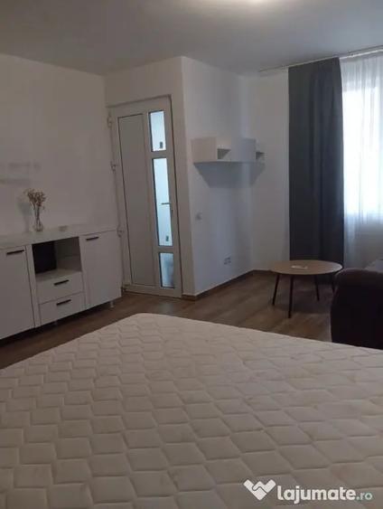 Dimitrie leonida studio cu gradina si terasa parter - Bucuresti (Bucuresti-Ilfov) - 8
