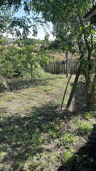 Casă cu Teren 1800 Mp în Smârdan