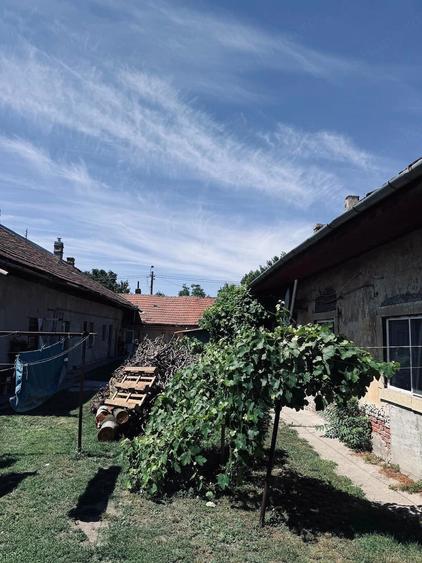 AV702 Casa 3 camere, curte comuna-Iosefin - 1
