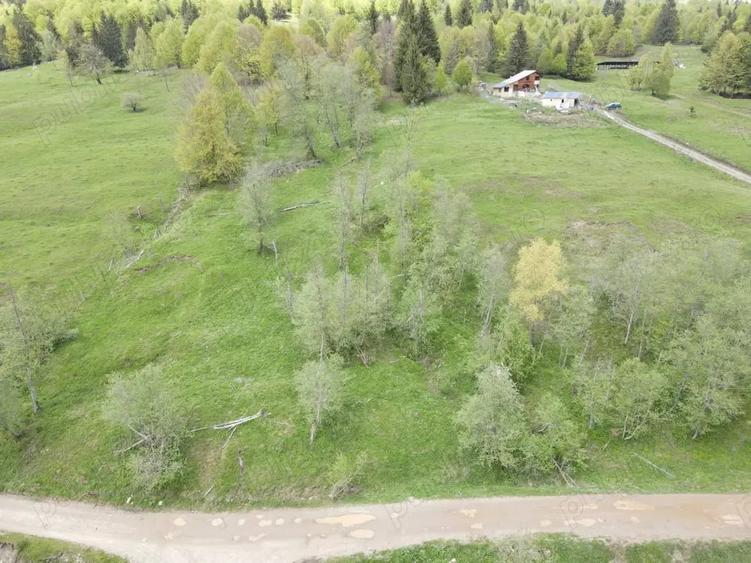 Teren de 7500 mp, în Cheia
