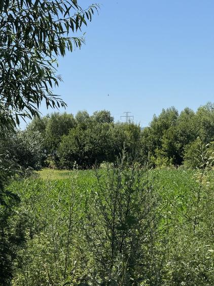 Teren de 2000 mp, în Hălchiu