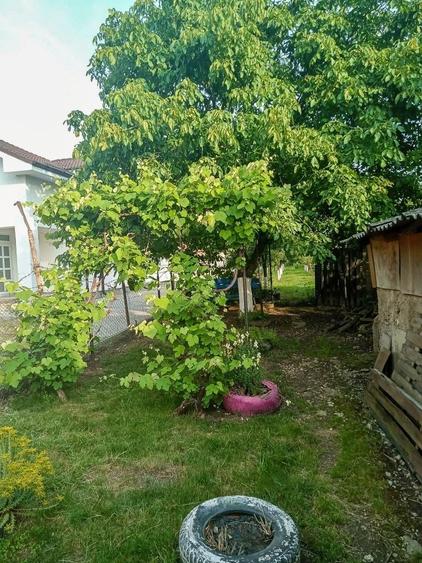 Casă cu 3 camere în Sânmartin