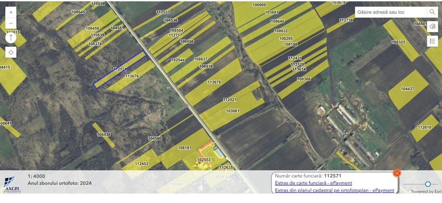 Teren agricol extravilan de 41850 mp, în Cavadinești