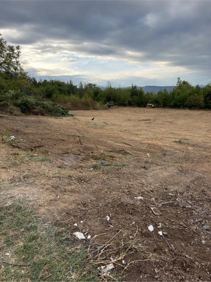 Teren de 1000 mp, în Goranu