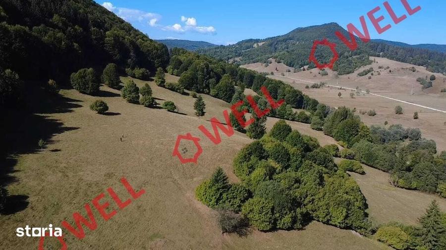 Teren de 7766 mp, în Vama Buzăului