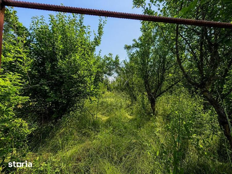 Casă cu 3 camere cu Teren 5000 Mp în Berceni