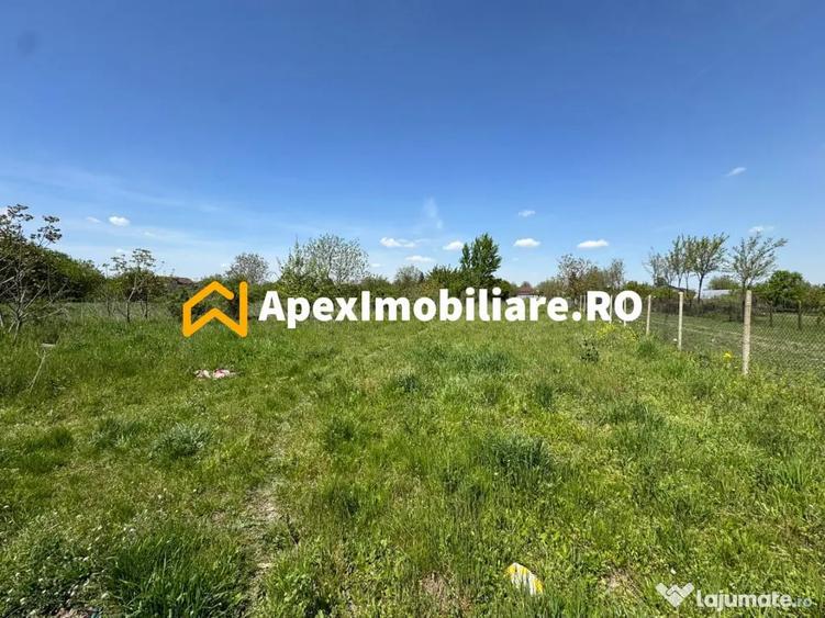 Teren intravilan de vanzare Cornetu IF | ApexImobiliare.ro - 8