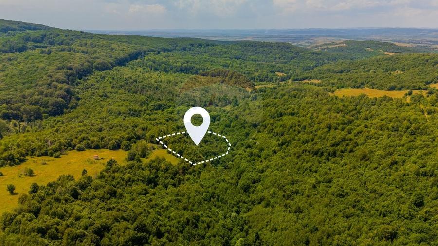 Teren Construcții intravilan de 6572 mp, în Grid