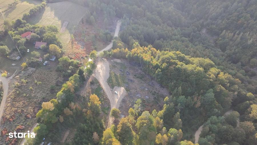 Teren de vanzare, 7300 mp, acces pavat - 4