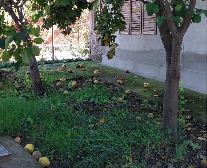 Casă cu 3 camere cu Teren 1000 Mp în Vărăști