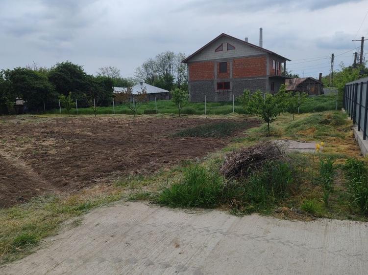 Teren de 1100 mp, în Chiscani