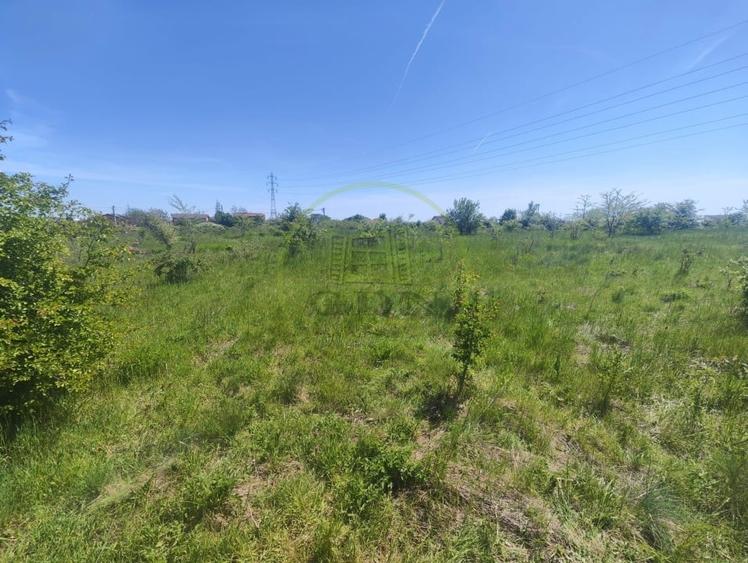 Teren Construcții intravilan de 390 mp, în Malu Mare